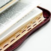 Библия каноническая 047 ZТI (вишневая, кожаный переплет, золотой обрез, краевые указатели, молния)